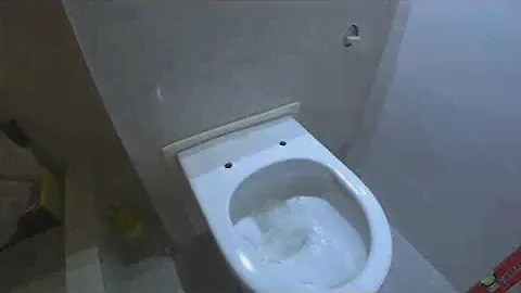 Навесной #унитаз, с гигиеническим душем! #Geberit #villeroy&boch #Cristina 🚿.
