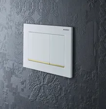 Смывная клавиша для унитазов Geberit Omega 30 115.080.KK.1