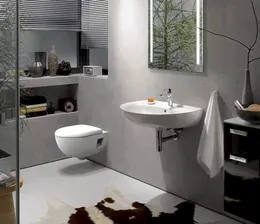 Подвесной унитаз Geberit Renova Nr.1 Premium безободковый 203070000