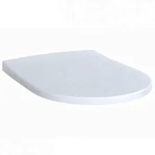 Сиденье для унитаза Geberit (Keramag) Acanto 500.605.01.2