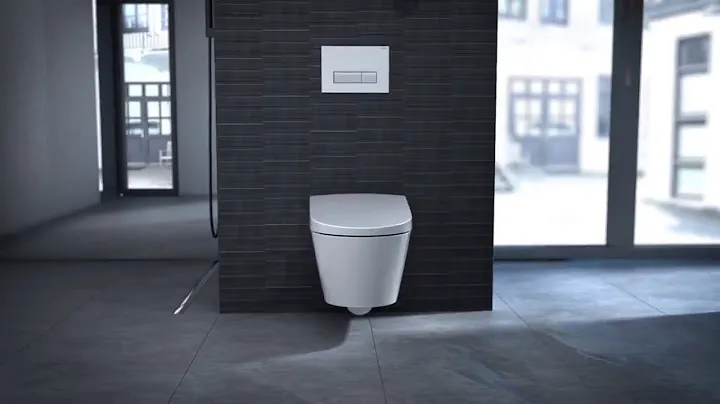 Обзор Geberit DuoFresh   Functionality