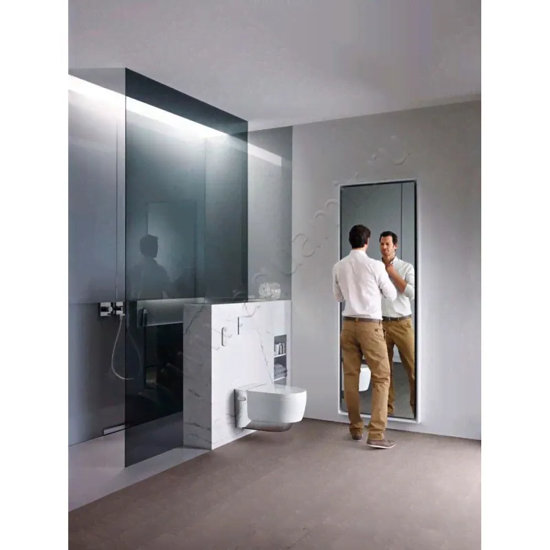      Geberit AquaClean Mera Classic (146204211)-3